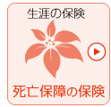 生涯の保険、死亡保健
