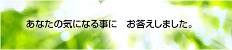 サンミーナからの最新情報です