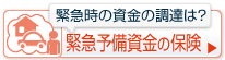 緊急に資金が必要ですか？緊急保険